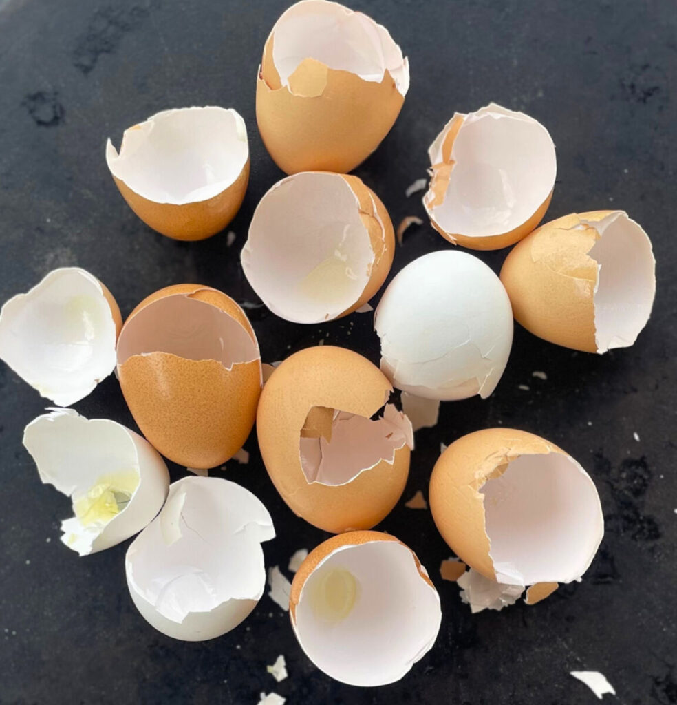 broken eggshells