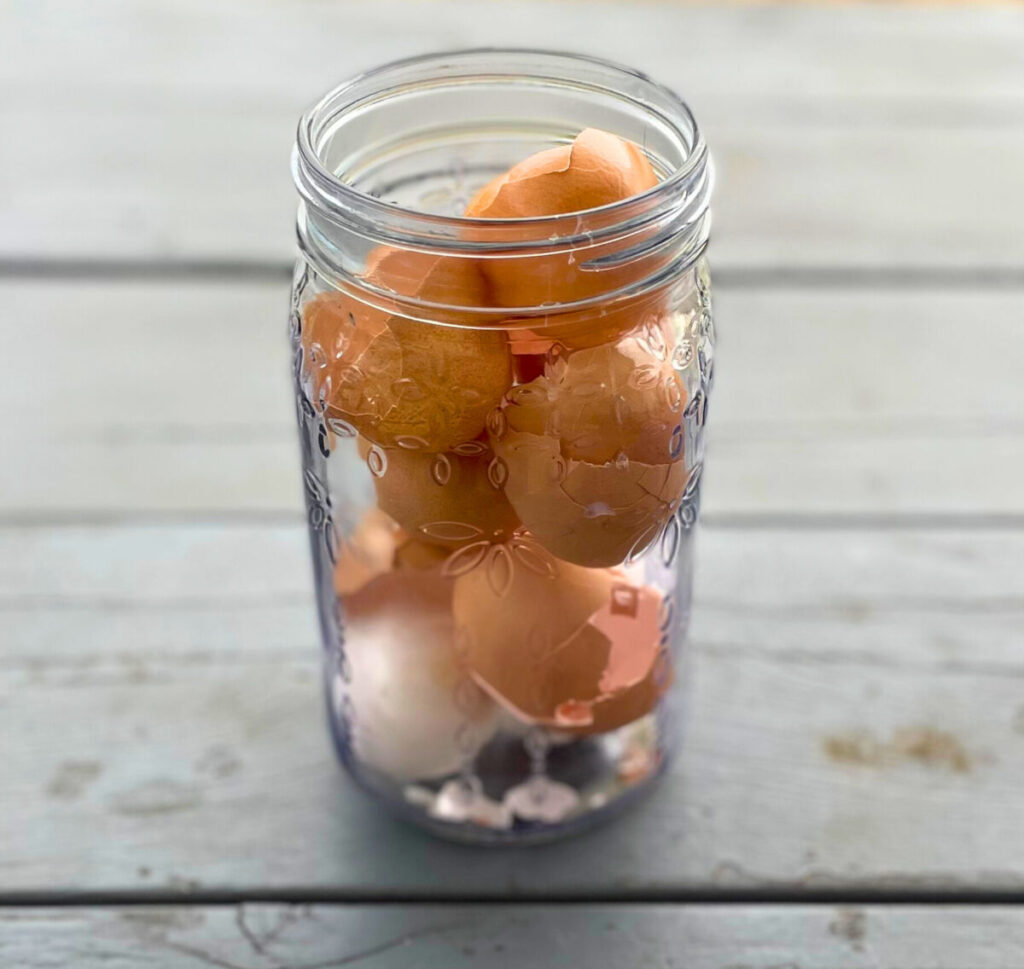 broken eggshells in a glass jar
