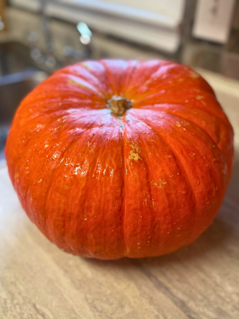 whole pumpkin on a countertop
