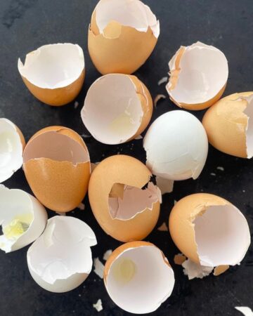 broken egg shells